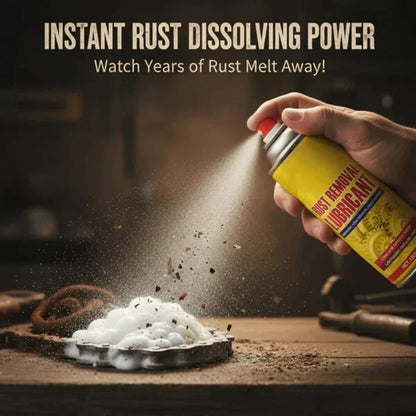 Rust Remover Spray for Car & Bike (Pack of 2)