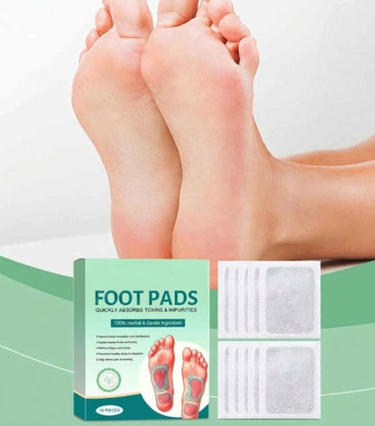 20256